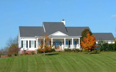 Find a Pet Friendly Apartment Near Me Virginia Beach With Spacious Parks Nearby